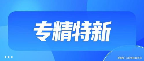 山東企業申請ITSS信息技術服務標準（運行維護）認證的必備條件與流程詳解