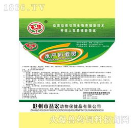 水產應激靈 優質廠家與代理批發指南