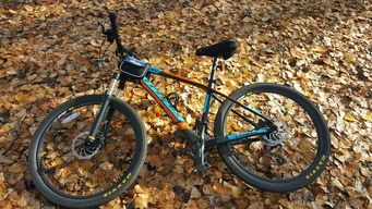 延慶自行車騎游租賃中心 北京樂騎，綠色出行的理想伙伴