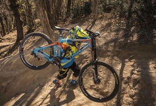 GBI全球自行車產(chǎn)業(yè)鏈信息網(wǎng)入駐廠商推介 第1期 共筑未來(lái)，共‘騎’新程